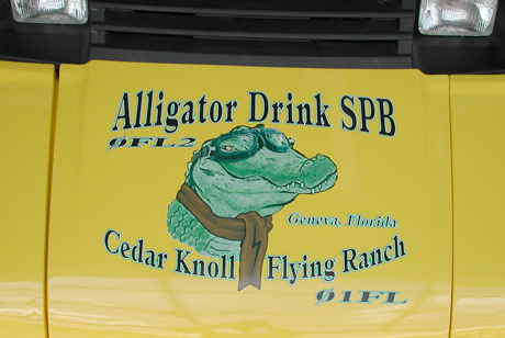 Alligator drink