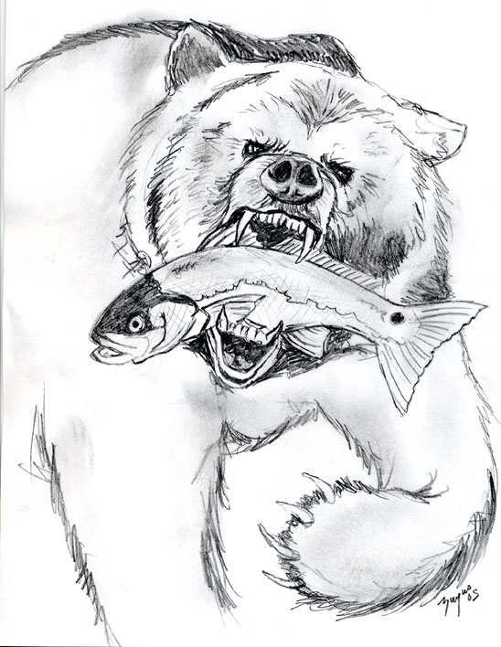 pencil sketch bear