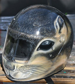 squirrel helmet