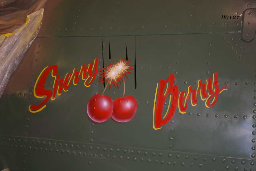 war bird nose art