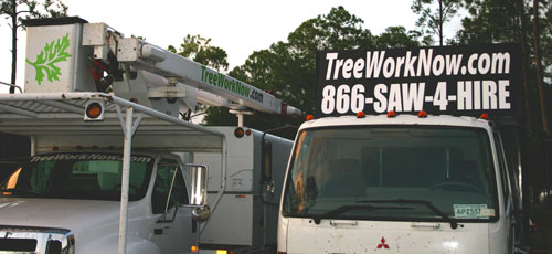 tree work now vinyl gaphics