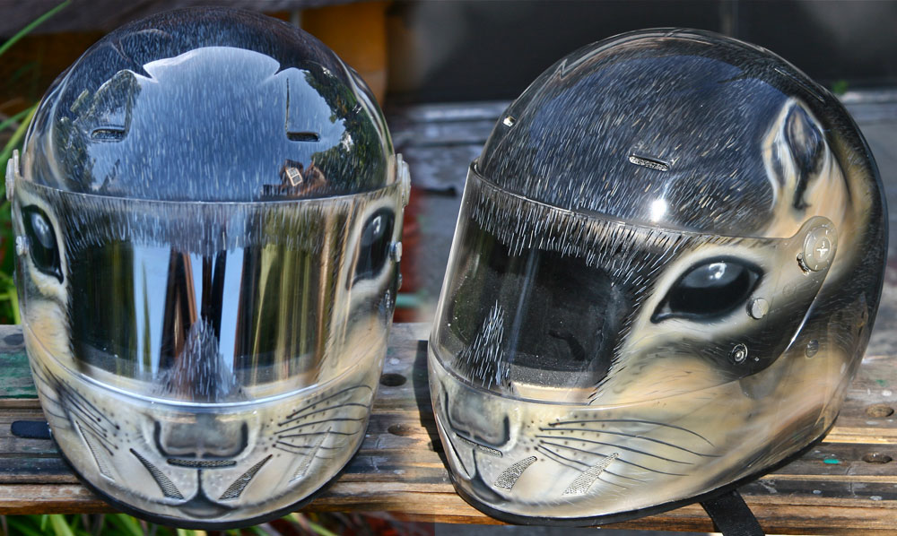 squirrel helmet